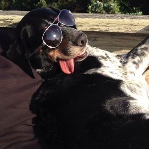 Meet your Posher, Christine